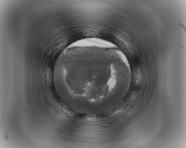 X0000096400228200802141526