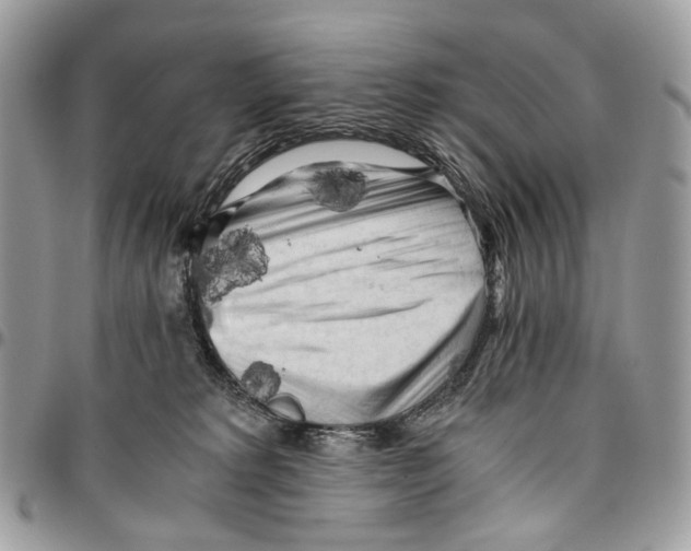 X0000096400229200802141526