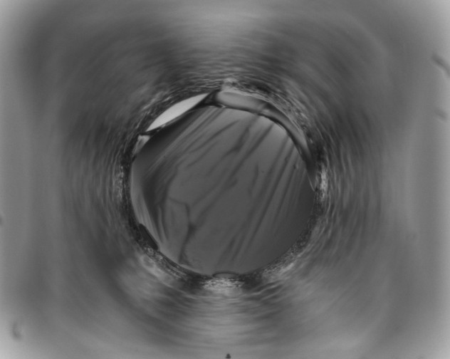 X0000096400231200802141526