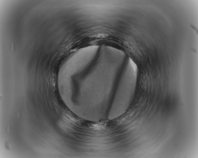 X0000096400232200802141526