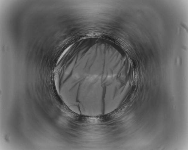 X0000096400233200802141526