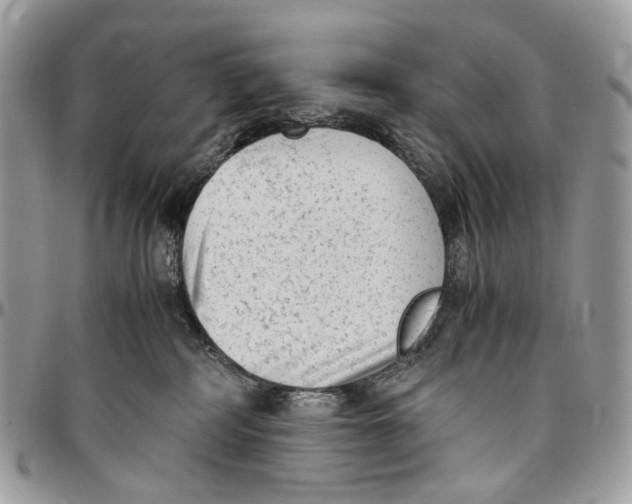 X0000096400234200802141526