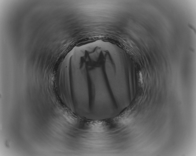 X0000096400235200802141526