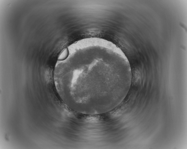 X0000096400236200802141526