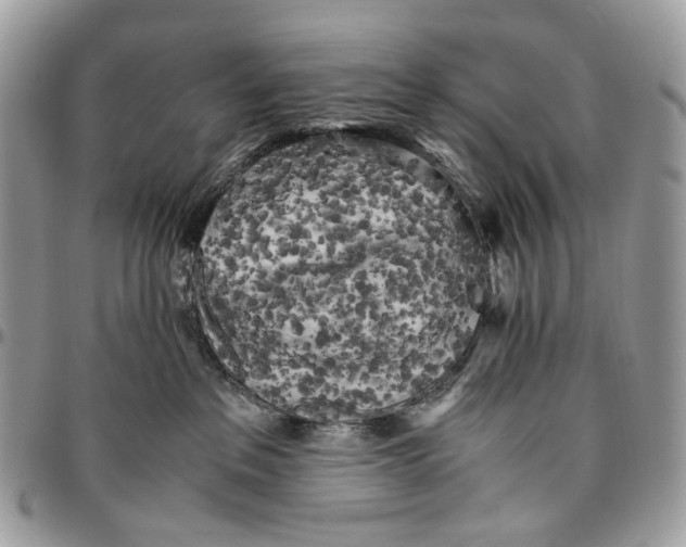 X0000096400237200802141526