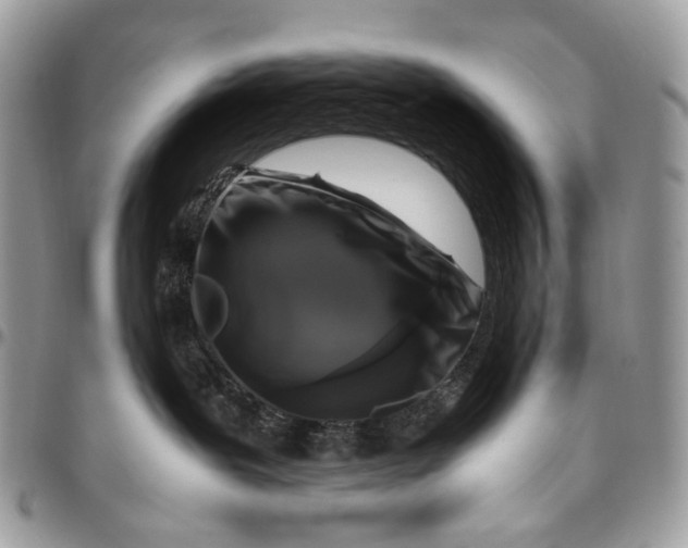 X0000096400239200802141525