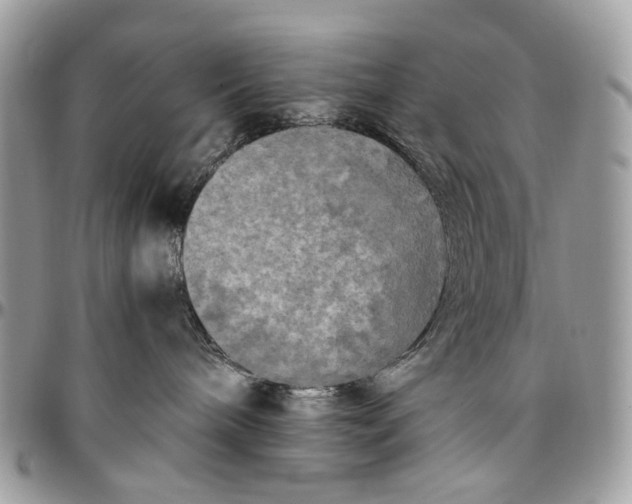 X0000096400240200802141525