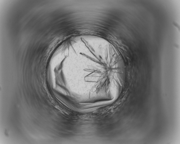 X0000096400241200802141525