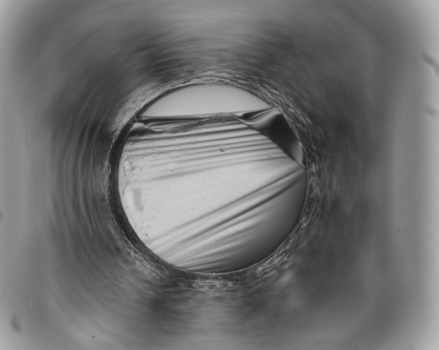 X0000096400242200802141525