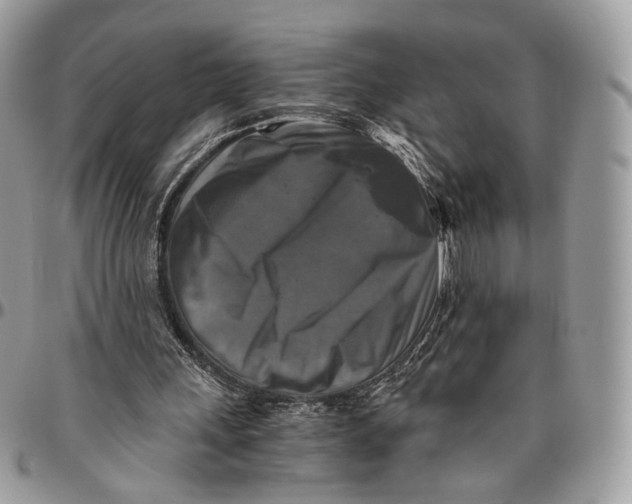 X0000096400243200802141525