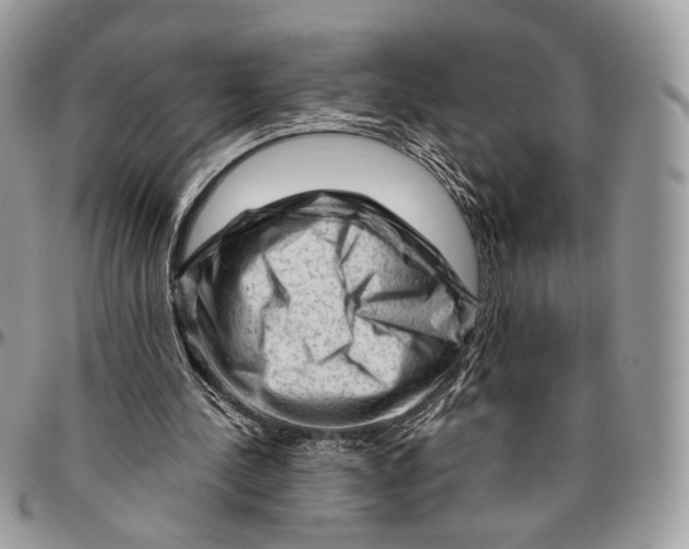 X0000096400244200802141525