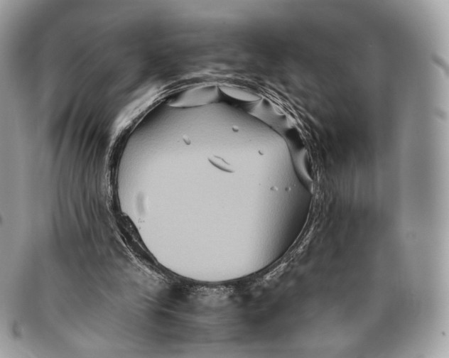 X0000096400245200802141525