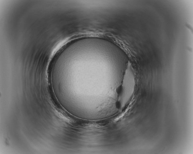 X0000096400246200802141525