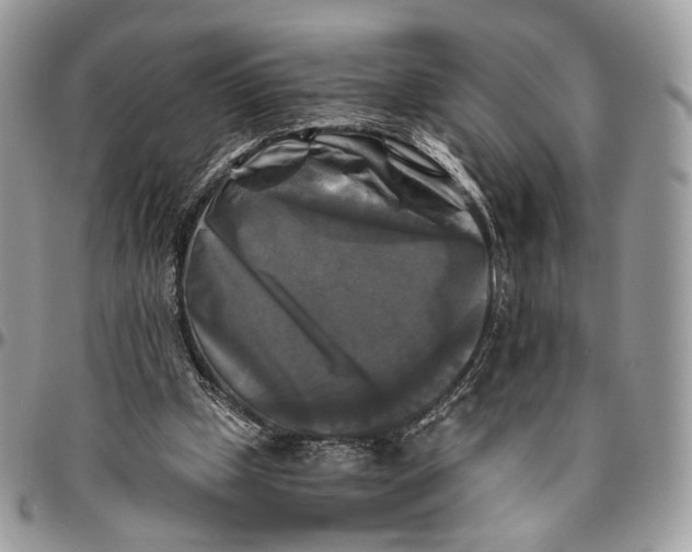 X0000096400249200802141525