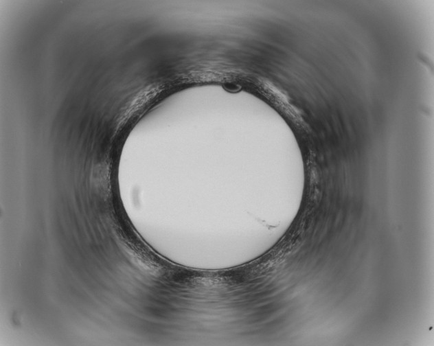 X0000096400250200802141525