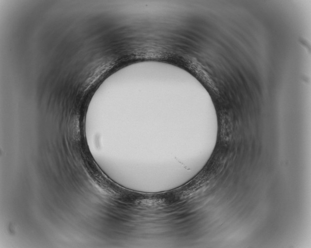 X0000096400251200802141525