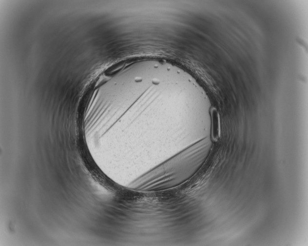 X0000096400252200802141525