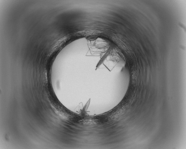 X0000096400254200802141525