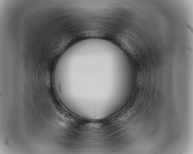 X0000096400255200802141525