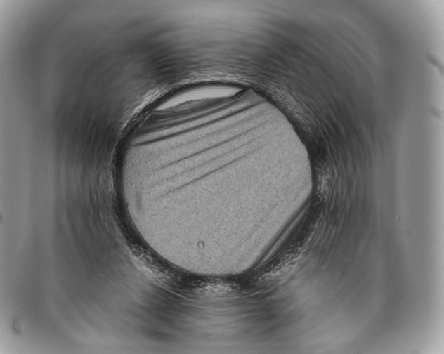 X0000096400256200802141525