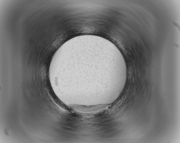 X0000096400257200802141525