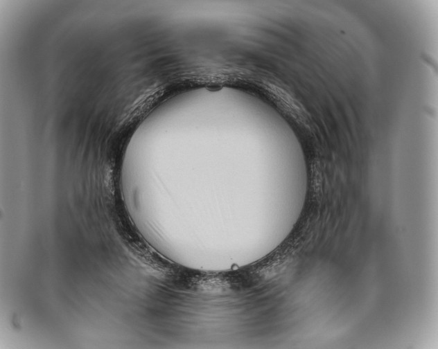 X0000096400258200802141525