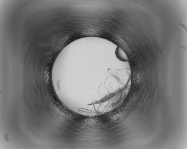 X0000096400259200802141525