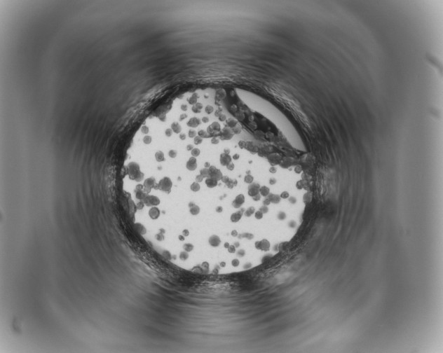 X0000096400260200802141525