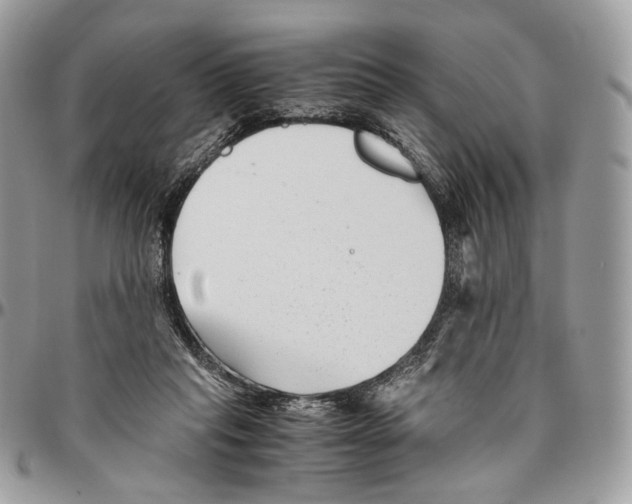 X0000096400261200802141525