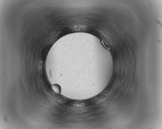 X0000096400263200802141525