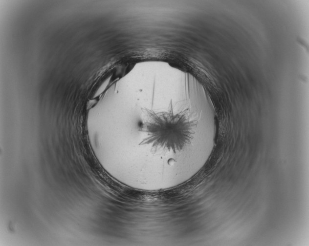 X0000096400264200802141525