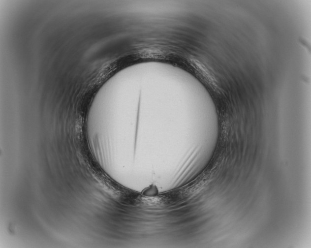 X0000096400265200802141525