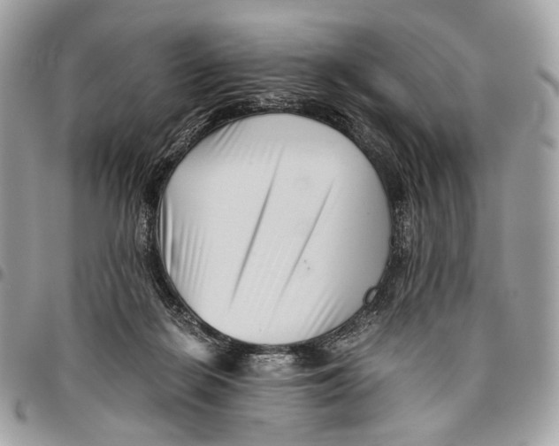 X0000096400266200802141525