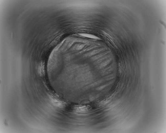 X0000096400267200802141525