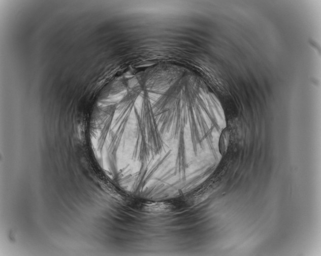 X0000096400269200802141525