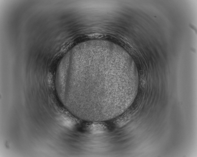 X0000096400270200802141525