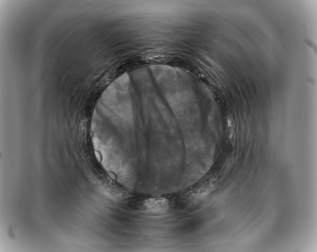 X0000096400271200802141525