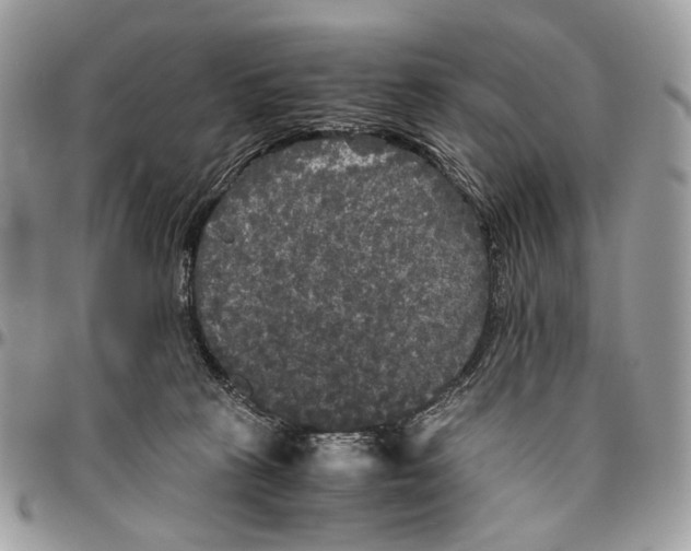 X0000096400273200802141525