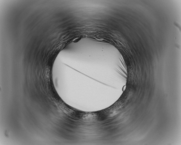 X0000096400274200802141525