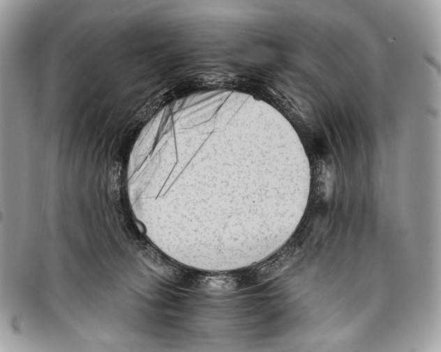 X0000096400275200802141525