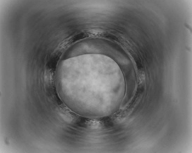 X0000096400276200802141525