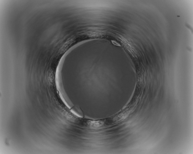 X0000096400277200802141525