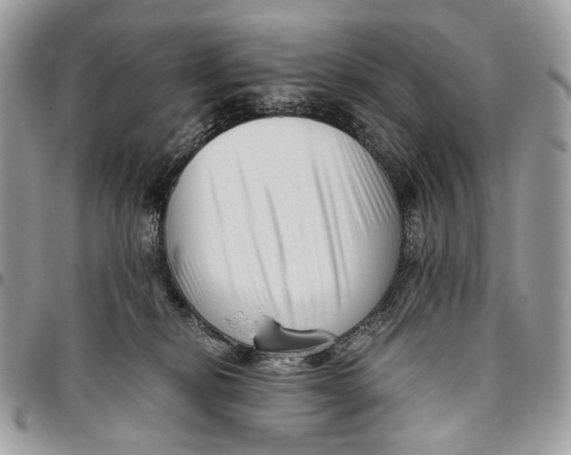 X0000096400278200802141525