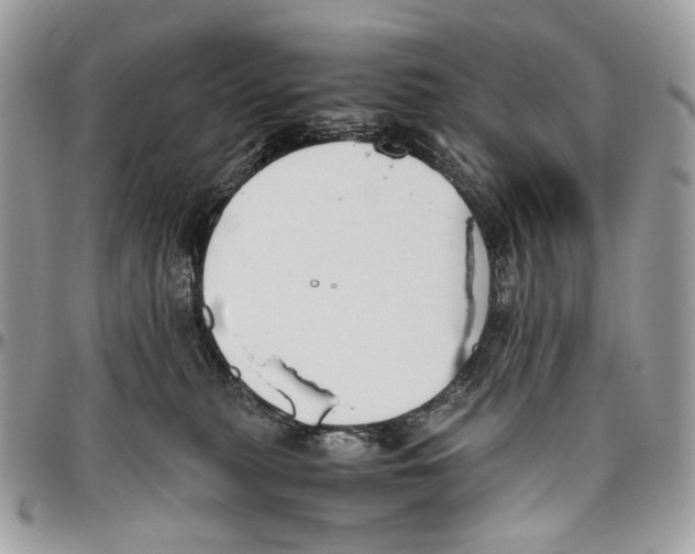 X0000096400279200802141525