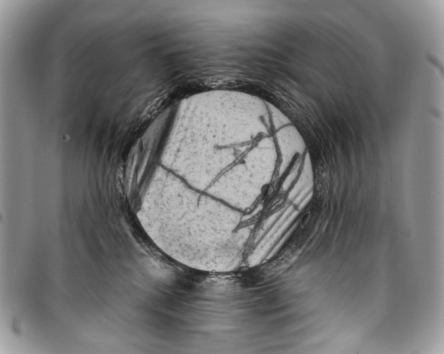 X0000096400280200802141525