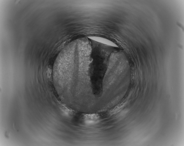 X0000096400281200802141525