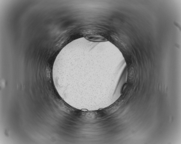 X0000096400282200802141525