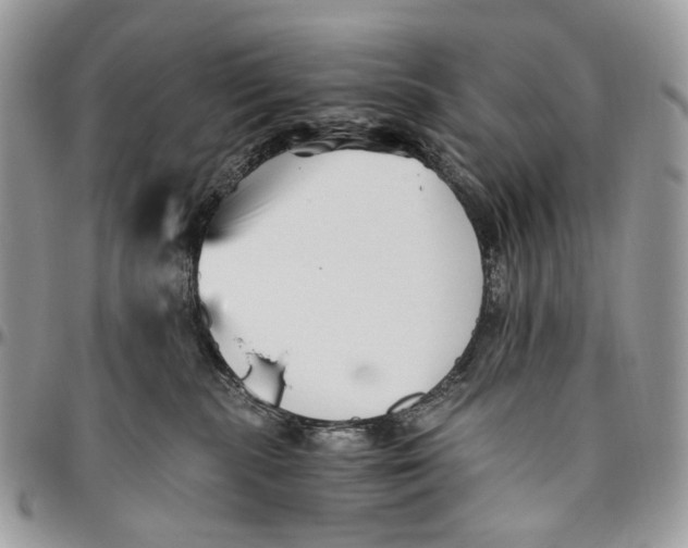 X0000096400283200802141525