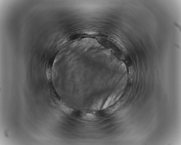 X0000096400285200802141525