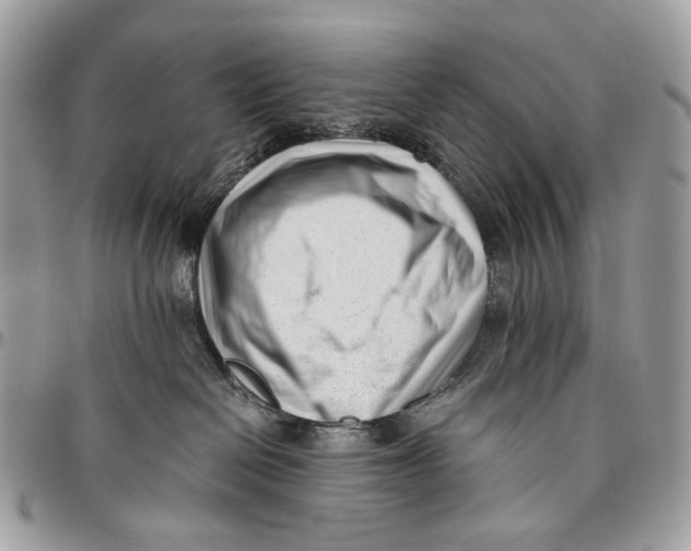 X0000096400286200802141525